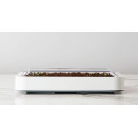 Chef'n Microgreen Grower